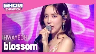 HWAYEON - blossom (화연 - 꽃핀다) | Show Champion | EP.436