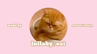 lullaby, cat (With Lucite Tokki)
