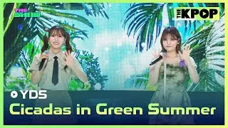 YDS, Cicadas in Green Summer (여동생, 초록 여름 매미) [THE SHOW 240820]