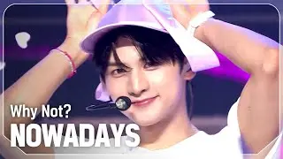 [COMEBACK] 나우어데이즈(NOWADAYS) - Why Not? l Show Champion l EP.531 l 240904