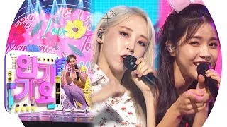 MAMAMOO(마마무) - Waggy(쟤가 걔야)  @인기가요 Inkigayo 20190317