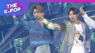 ATEEZ, Dancing Like Butterfly Wings [THE SHOW 190716]
