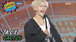 [HOT] A.C.E - CACTUS, 에이스 - 선인장 Show Music core 20170527