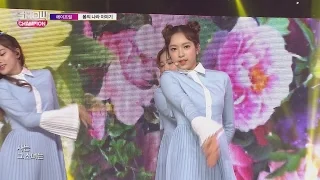 Show Champion EP.216 APRIL - April Story