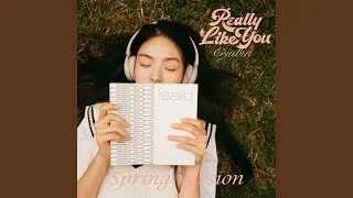 Really Like You (Spring Version)