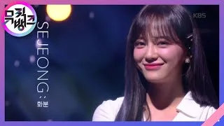 화분 (Plant) - 세정(SEJEONG) [뮤직뱅크/Music Bank] 20200320