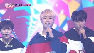 Show Champion EP.268 THE BOYZ - Giddy Up