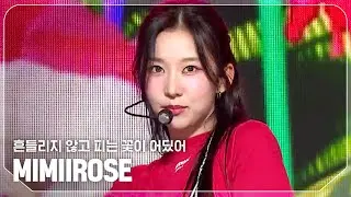 미미로즈(MIMIIROSE) - 흔들리지 않고 피는 꽃이 어딨어 l Show Champion l EP.534 l 240925