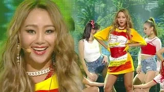 《SEXY》 Hyolyn (효린) - Paradise @인기가요 Inkigayo 20161120