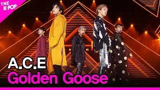 A.C.E, Golden Goose (에이스, Golden Goose) [THE SHOW 200908]