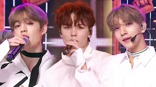 Home - 세븐틴(SEVENTEEN) [뮤직뱅크 Music Bank] 20190628