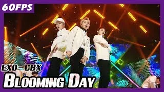 60FPS 1080P | EXO-CBX - Blooming Day, 엑소-첸벡시 - 花요일 Show Music Core 20180414