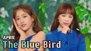 [Comeback Stage] APRIL - The Blue Bird, 에이프릴 - 파랑새 Show Music core 20180317