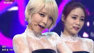 [HIT] 뮤직뱅크-AOA - 사뿐사뿐(Like a Cat).20141121