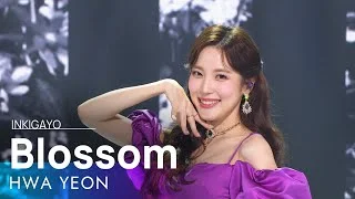 HWA YEON(화연) - Blossom(꽃핀다) @인기가요 inkigayo 20220515