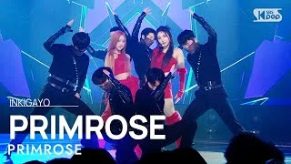 PRIMROSE(프림로즈) - PRIMROSE @인기가요 inkigayo 20230129