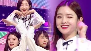 《EXCITING》 DIA (다이아) - Will you go out with me (나랑 사귈래) @인기가요 Inkigayo 20170507