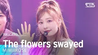 MIMIIROSE  (미미로즈) - The flowers swayed(흔들리지 않고 피는 꽃이 어딨어) @인기가요 inkigayo 20240929