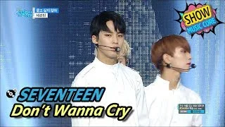 [HOT] SEVENTEEN - Don't Wanna Cry, 세븐틴 - 울고 싶지 않아 Show Music core 20170610
