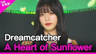 Dreamcatcher, A Heart of Sunflower (드림캐쳐, 해바라기의 마음) [THE SHOW 210810]