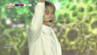 Show Champion EP.259 JBJ - My Flower [JBJ -꽃이야]