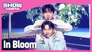 [HOT DEBUT] 제로베이스원(ZEROBASEONE) - In Bloom l Show Champion l EP.484