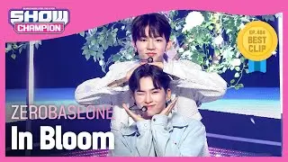 [HOT DEBUT] 제로베이스원(ZEROBASEONE) - In Bloom l Show Champion l EP.484