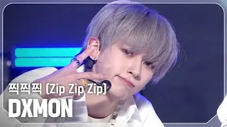 [COMEBACK] 다이몬(DXMON) - 찍찍찍 (Zip Zip Zip) l Show Champion l EP.539 l 241106