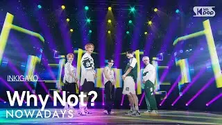 NOWADAYS (나우어데이즈) - Why Not? @인기가요 inkigayo 20240908