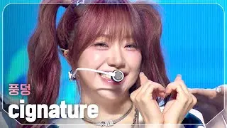 시그니처(cignature) - 풍덩 l Show Champion l EP.523 l 240626