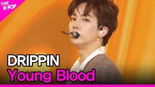 DRIPPIN, Young Blood (드리핀, Young Blood) [THE SHOW 210406]