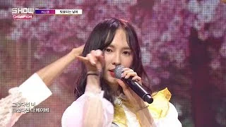 Show Champion EP.267 H.U.B - The Day The Cherry Blossoms Bloom