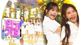 IZ*ONE(아이즈원) - Violeta(비올레타) @인기가요 Inkigayo 20190421