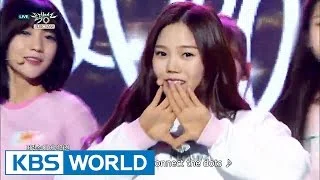 Oh My Girl (오마이걸) - Liar Liar [Music Bank HOT Stage / 2016.04.08]