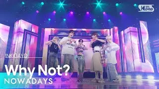 NOWADAYS (나우어데이즈) - Why Not? @인기가요 inkigayo 20240922