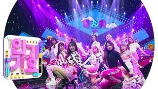 Cherry Bullet(체리블렛) - Q&A @인기가요 Inkigayo 20190203