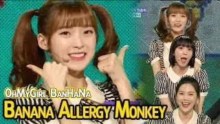 [HOT] OH MY GIRL BANHANA - Banana allergy monkey, 오마이걸 반하나 - 바나나 알러지 원숭이 Show Music core 20180414